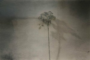 Image description is not available for 2003.059